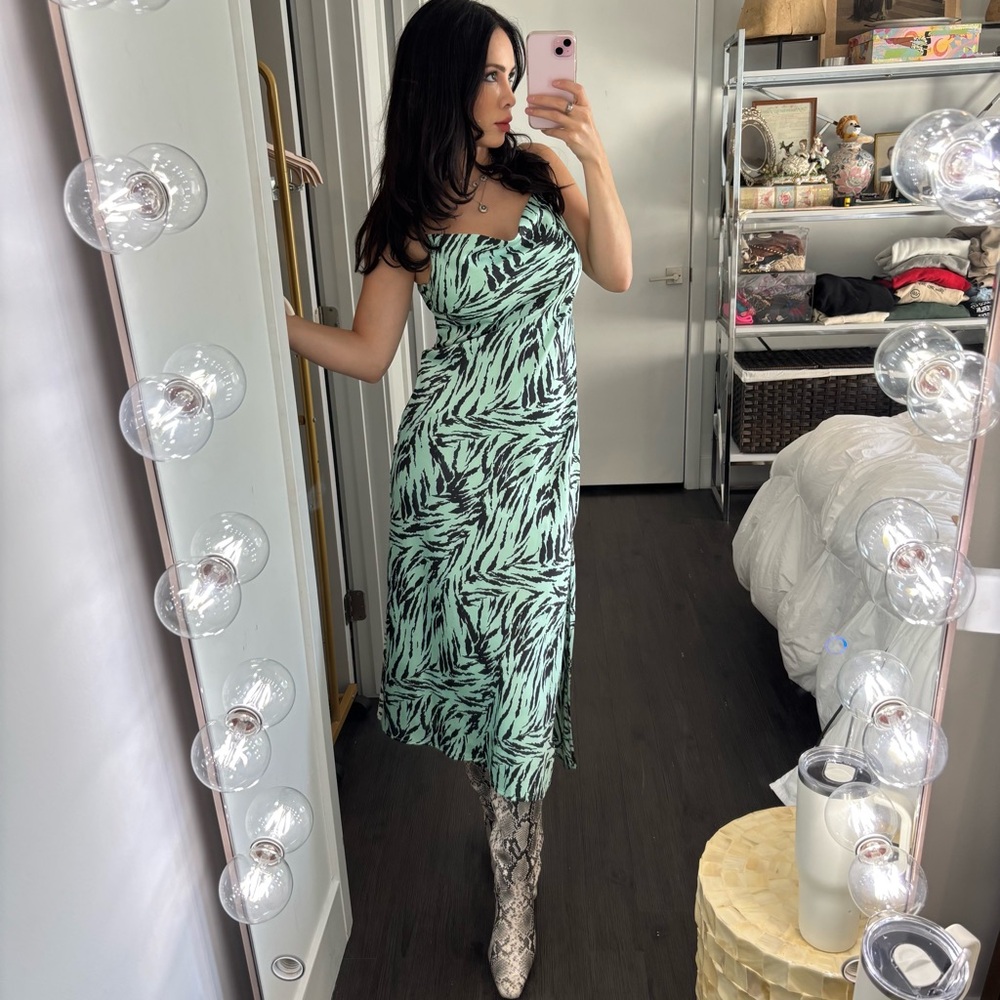 WAYF Mint Zebra Print Dress XS